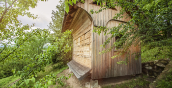 Guía definitiva para instalar, cuidar y reparar casetas de jardín Guía definitiva para instalar, cuidar y reparar casetas de jardín