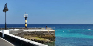 Tres angelotes aparecen muertos atrapados en un trasmallo en Punta Mujeres