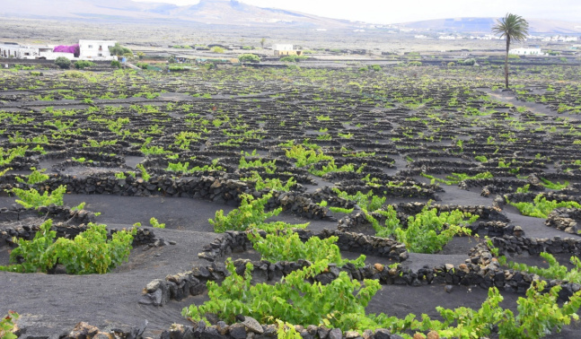 tradicion, paisaje, mmemoria tradicion, paisaje, mmemoria
