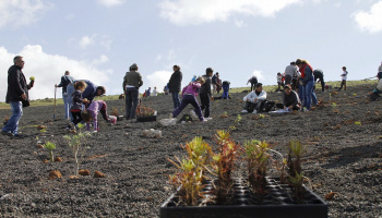 Gracias a quienes sostienen lo invisible