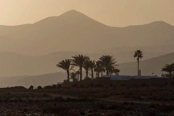 Cañima en Lanzarote Semana Cañima en Lanzarote Semana