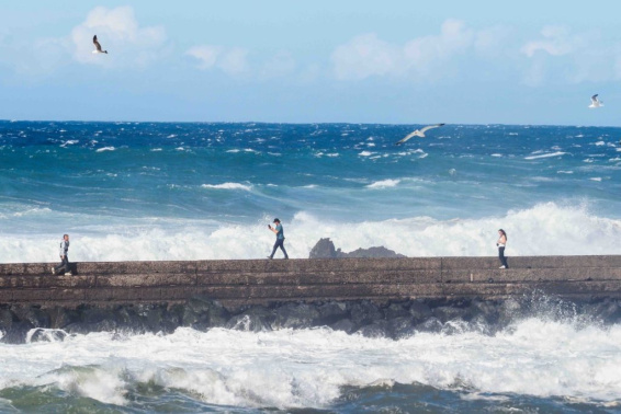Fred. Olsen recorta a la mitad los trayectos entre Tenerife y Gran Canaria por motivos de seguridad