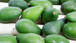 HiperDino refuerza su compromiso con el aguacate canario adquiriendo un millón de kilos