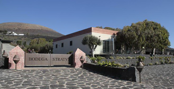 Tres experiencias de vino en Lanzarote que debes probar