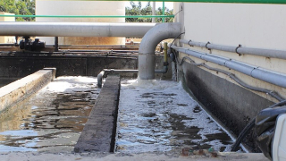 Contundente informe para la resolución e intervención de Canal Gestión