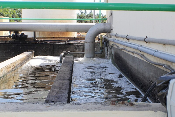 Contundente informe para la resolución e intervención de Canal Gestión