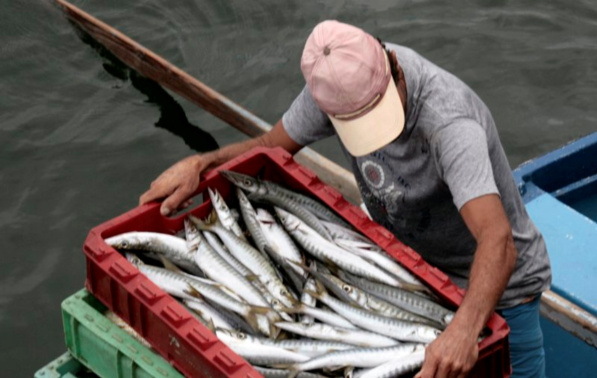 Gabriel Mato pide ayuda urgente de la UE para la pesca y advierte contra el debilitamiento de la Política Pesquera Común