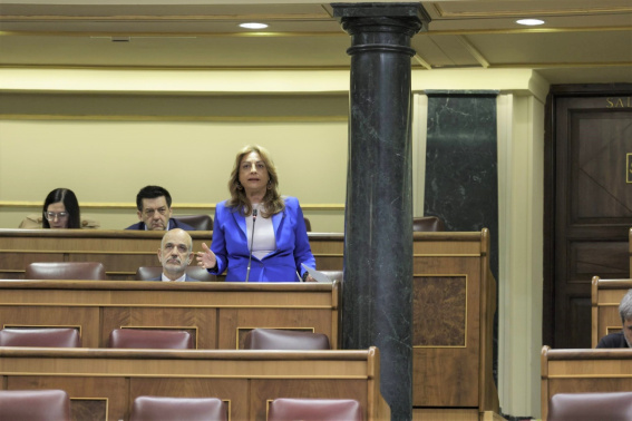 La diputada de Coalición Canaria defiende que la participación en la gestión aeroportuaria es La diputada de Coalición Canaria defiende que la participación en la gestión aeroportuaria es