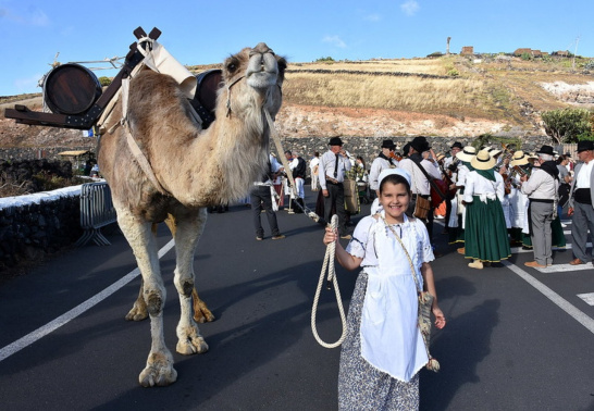 Romería de Uga