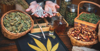 Weedestiny: la mayor plataforma para encontrar clubs de cannabis en España Weedestiny: la mayor plataforma para encontrar clubs de cannabis en España