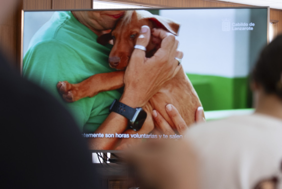 El evento pretende convertirse en un espacio de encuentro, agradecimiento y visibilización del importante trabajo que realizan diariamente cientos de voluntarios y voluntarias 