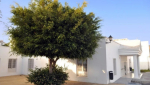Inscripciones hasta el 18 de mayo en la Escuela Oficial de Idiomas de Lanzarote