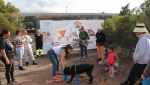 Yaiza saca a licitación el servicio de servicio de control, recogida y/o acogida de perros abandonados Yaiza saca a licitación el servicio de servicio de control, recogida y/o acogida de perros abandonados