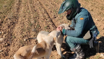 Reconocer el compromiso que marca la diferencia