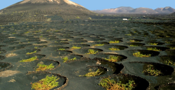 Turismo responsable e influencers: cómo Lanzarote puede atraer al viajero consciente que está reconfigurando el mercado europeo