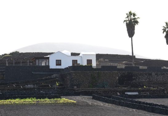 https://www.lancelotdigital.com/sucesos/asaltan-una-vivienda-en-san-bartolome-y-dan-una-paliza-al-dueno https://www.lancelotdigital.com/sucesos/asaltan-una-vivienda-en-san-bartolome-y-dan-una-paliza-al-dueno
