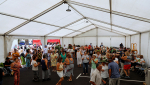 Dos fines de semana de bailes y verbenas para las fiestas de Masdache Dos fines de semana de bailes y verbenas para las fiestas de Masdache