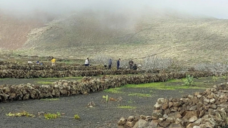 Una finca en el norte de Lanzarote, enclave estratégico para la investigación Una finca en el norte de Lanzarote, enclave estratégico para la investigación