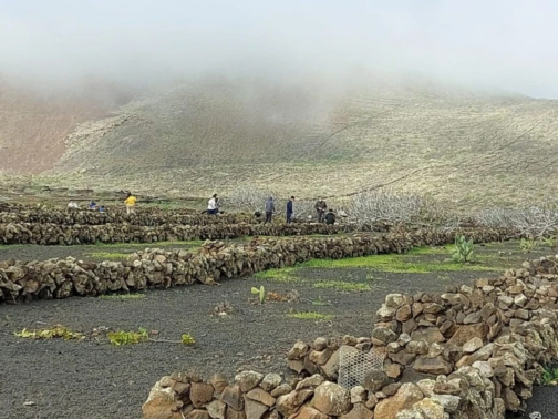 Cabildo y Ayuntamiento de Haría desarrollarán proyectos de apoyo al sector primario, conservación del patrimonio y educación ambiental Cabildo y Ayuntamiento de Haría desarrollarán proyectos de apoyo al sector primario, conservación del patrimonio y educación ambiental