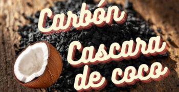 Carbón de Coco: El Combustible Ecológico que No Tala Árboles