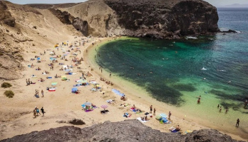 Papagayo no puede morir de éxito