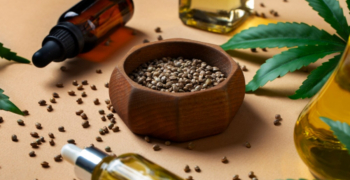 El mercado de las semillas de CBD en España: por qué está cambiando la demanda 