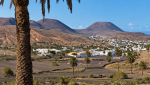 Haría dedica una jornada al futuro de la palmera canaria