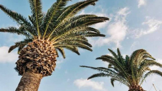 Los alisios regresan a Lanzarote y La Graciosa, aunque todavía podrían dejar algunas lluvias