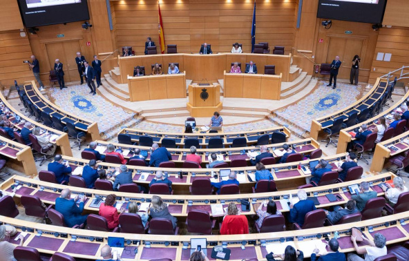 PP y Vox negocian unir fuerzas al Senado en Canarias