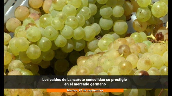 Los vinos de Lanzarote buscan conquistar Alemania con siete bodegas y 30 compradores germanos