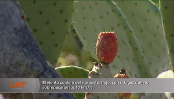 ¿Qué tiempo hará el 7 y 8 de febrero en Lanzarote?