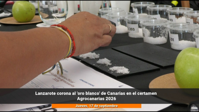Lanzarote busca coronar al 'oro blanco' de Canarias en el certamen Agrocanarias 2026