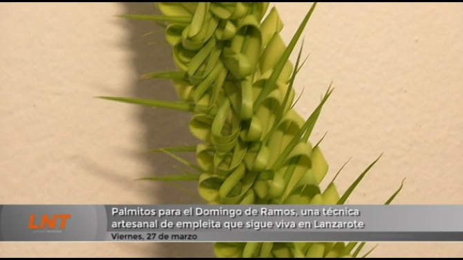 Palmitos para el Domingo de Ramos, una técnica artesanal de empleita que sigue viva en Lanzarote Palmitos para el Domingo de Ramos, una técnica artesanal de empleita que sigue viva en Lanzarote