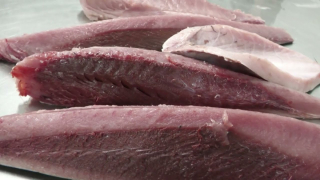 Lomos de atún a menos de 10 euros el kilo en Lanzarote