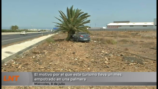 Un coche lleva un mes empotrado en una palmera Un coche lleva un mes empotrado en una palmera