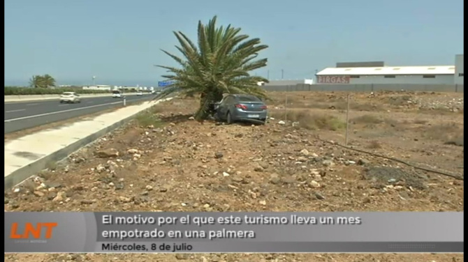 Un coche lleva un mes empotrado en una palmera