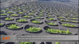 Lo que el PSOE denunció como un atentado es hoy un ejemplo de recuperación de La Geria Lo que el PSOE denunció como un atentado es hoy un ejemplo de recuperación de La Geria