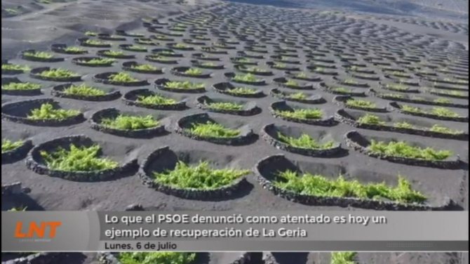Lo que el PSOE denunció como un atentado es hoy un ejemplo de recuperación de La Geria Lo que el PSOE denunció como un atentado es hoy un ejemplo de recuperación de La Geria