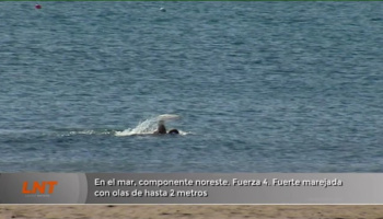 ¿Qué tiempo hará en Lanzarote el viernes 24 de julio? ¿Qué tiempo hará en Lanzarote el viernes 24 de julio?