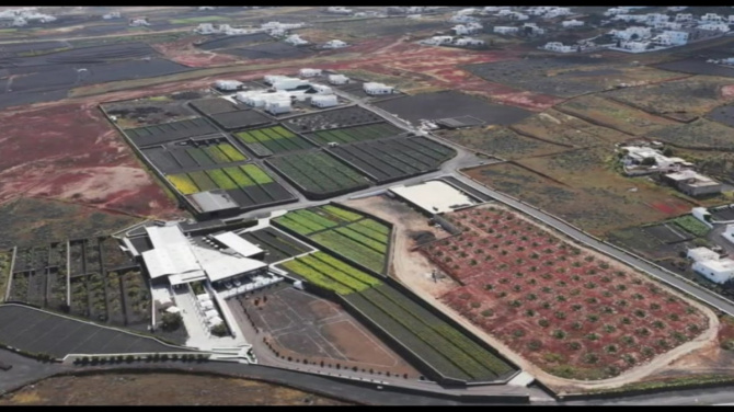 Residuo cero y cultivo a mano: la receta del restaurante que conquista Lanzarote Residuo cero y cultivo a mano: la receta del restaurante que conquista Lanzarote
