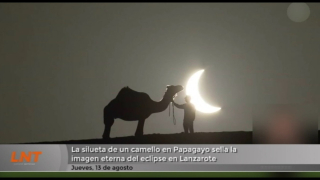 La silueta de un camello en Papagayo sella la imagen eterna del eclipse en Lanzarote