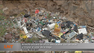 Arrecife actuará de oficio para acabar con las ratas y limpiar el solar de La Vega