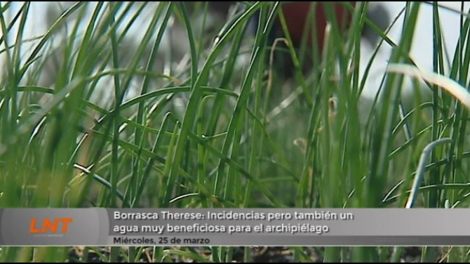 Borrasca Therese: Incidencias pero también un agua muy beneficiosa para el archipiélago Borrasca Therese: Incidencias pero también un agua muy beneficiosa para el archipiélago