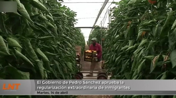 El Gobierno de Pedro Sánchez aprueba la regularización extraordinaria de inmigrantes