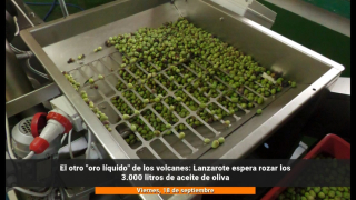 El otro "oro líquido" de Lanzarote El otro "oro líquido" de Lanzarote