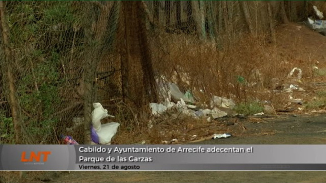Cabildo y Ayuntamiento de Arrecife adecentan el Parque de las Garzas