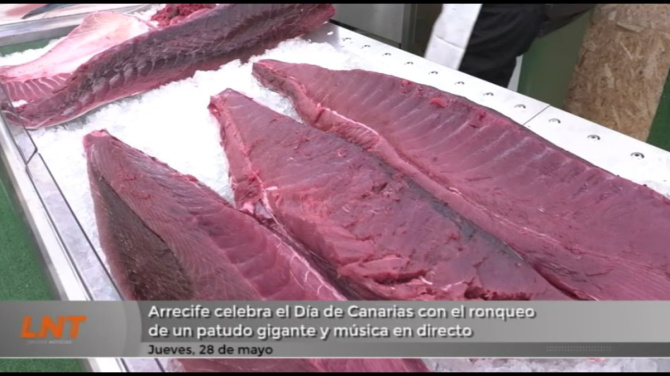 Música y el ronqueo de un patudo gigante para celebrar el Día de Canarias en Arrecife Música y el ronqueo de un patudo gigante para celebrar el Día de Canarias en Arrecife