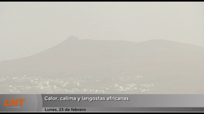 Calor, calima y langostas africanas Calor, calima y langostas africanas