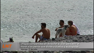 El plan para abrir el litoral capitalino a los perros que divide a dueños y ecologistas El plan para abrir el litoral capitalino a los perros que divide a dueños y ecologistas