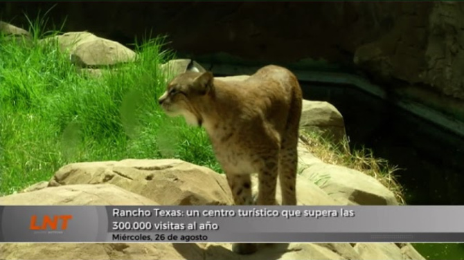 Este es el parque temático que recibe más de 300.000 visitas anuales en Lanzarote
